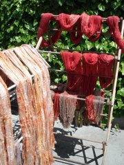 Yarn Hanging to Dry after Dyeing