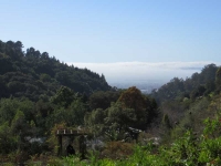 View from Berkeley Botanical Garden