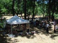 Another view of the event under the trees.